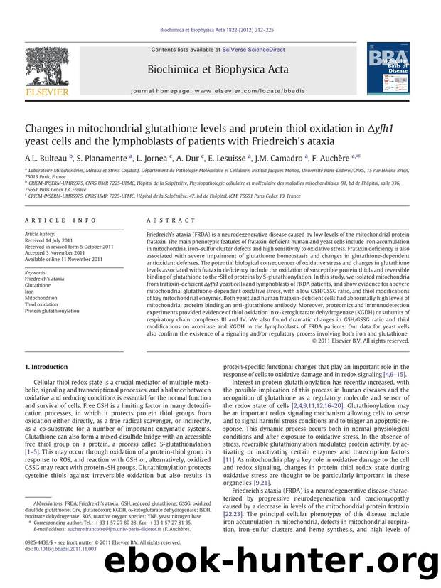 Changes in mitochondrial glutathione levels and protein thiol oxidation in âyfh1 yeast cells and the lymphoblasts of patients with Friedreich's ataxia by A.L. Bulteau & S. Planamente & L. Jornea & A. Dur & E. Lesuisse & J.M. Camadro & F. Auchère