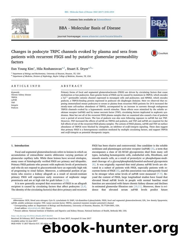 Changes in podocyte TRPC channels evoked by plasma and sera from patients with recurrent FSGS and by putative glomerular permeability factors by Eun Young Kim & Hila Roshanravan & Stuart E. Dryer