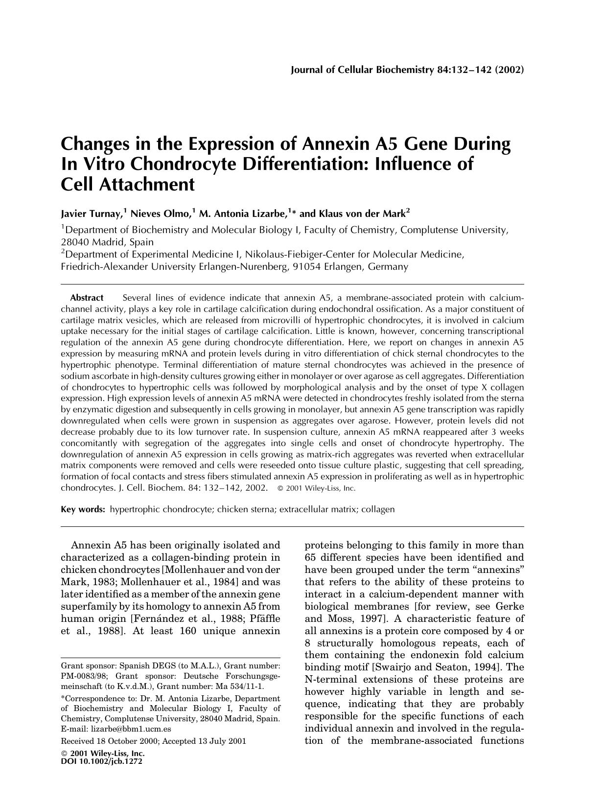 Changes in the expression of annexin A5 gene during in vitro chondrocyte differentiation: Influence of cell attachment by Unknown