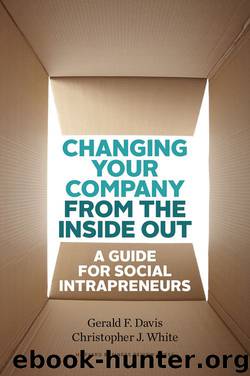 Changing Your Company from the Inside Out: A Guide for Social Intrapreneurs by Gerald F. Davis & Christopher J. White