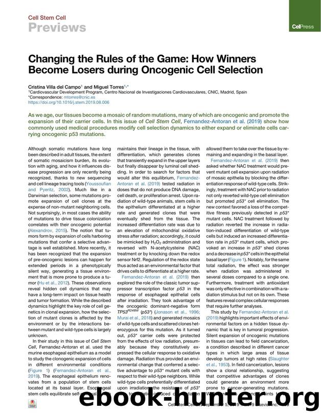 Changing the Rules of the Game: How Winners Become Losers during Oncogenic Cell Selection by Cristina Villa del Campo & Miguel Torres