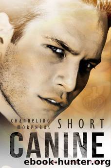 Channeling Morpheus 10.2 - Canine by Jordan Castillo Price