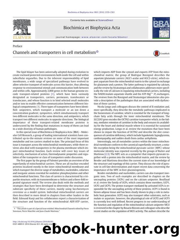 Channels and transporters in cell metabolism by Pierre Sonveaux & Pierre Maechler & Jean-Claude Martinou