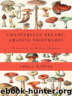 Chanterelle Dreams, Amanita Nightmares by Greg Marley