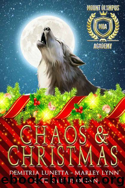 Chaos & Christmas by unknow