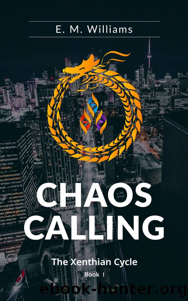 Chaos Calling by E. M. Williams