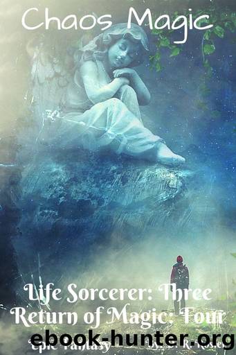 Chaos Magic: Life Sorcerer: Book Three - Return of Magic: Book Four by D. R. Rosier