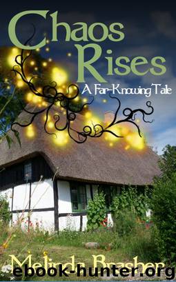 Chaos Rises by Melinda Brasher