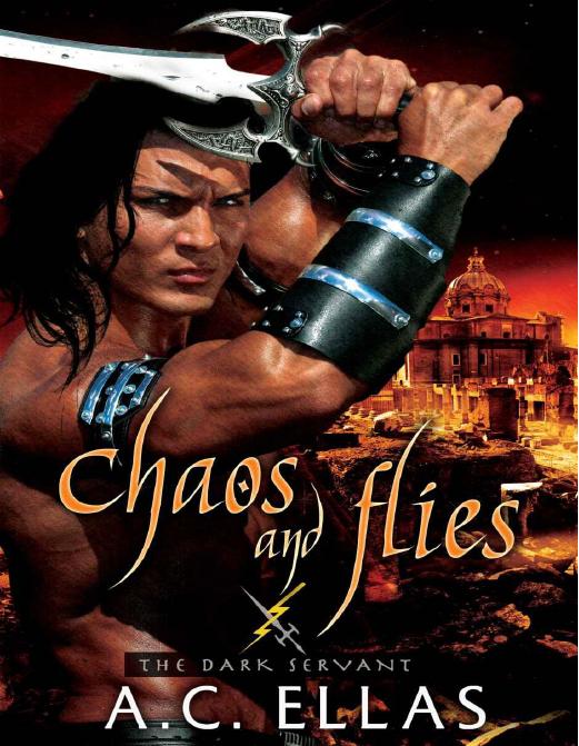 Chaos and Flies (The Dark Servant) by Ellas A.C
