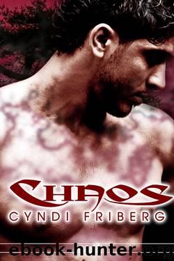 Chaos by Cyndi Friberg