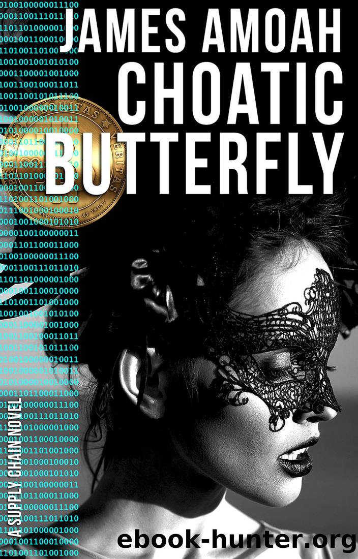 Chaotic Butterfly: A Supply Chain Management International Suspense Thriller by James Amoah