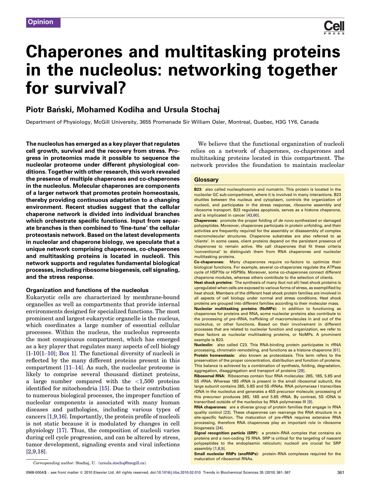 Chaperones and multitasking proteins in the nucleolus: networking together for survival? by Piotr BaÅ„ski; Mohamed Kodiha; Ursula Stochaj