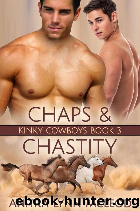 Chaps & Chastity by Anitra Lynn McLeod