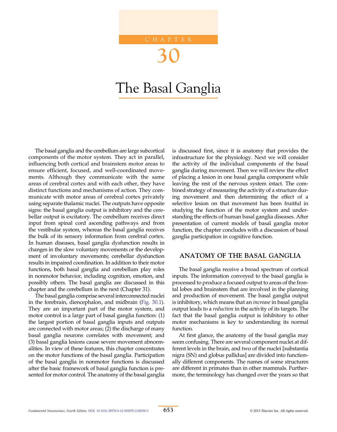 Chapter 30 - The Basal Ganglia by Jonathan W. Mink