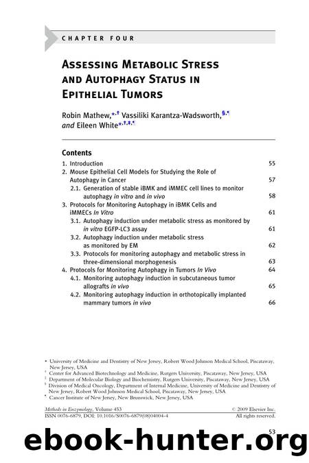 Chapter 4 - Assessing Metabolic Stress and Autophagy Status in Epithelial Tumors by Robin Mathew; Vassiliki Karantza-Wadsworth; Eileen White