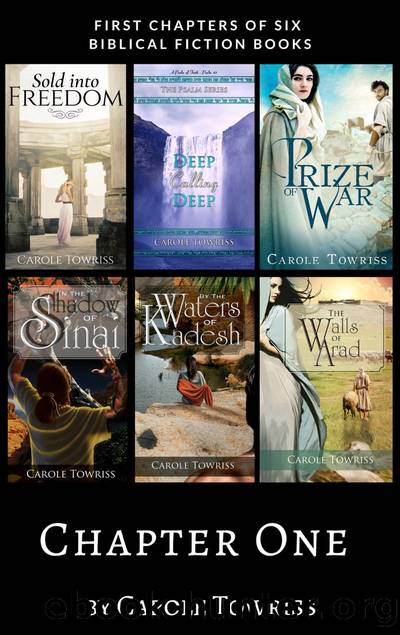 Chapter One by Carole Towriss