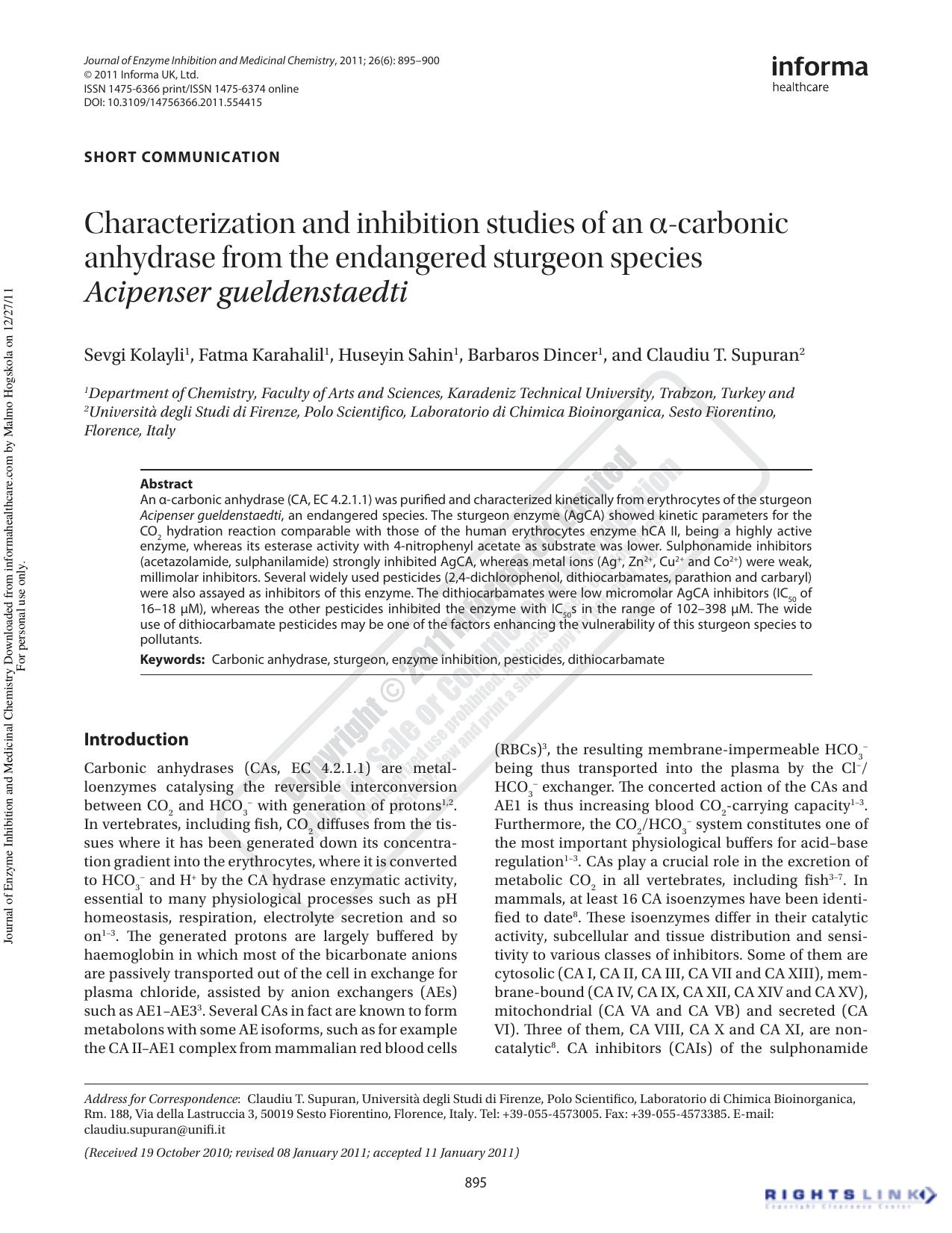 Characterization and inhibition studies of an Î±-carbonic anhydrase from the endangered sturgeon species Acipenser gueldenstaedti by unknow
