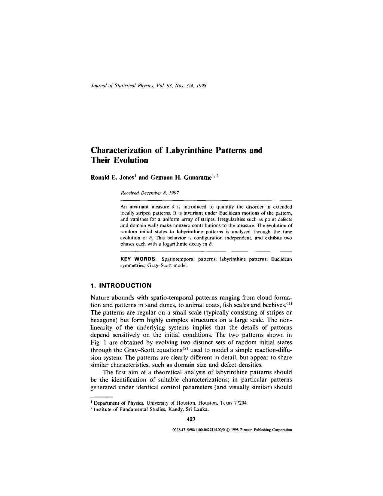 Characterization of Labyrinthine Patterns and Their Evolution by Unknown