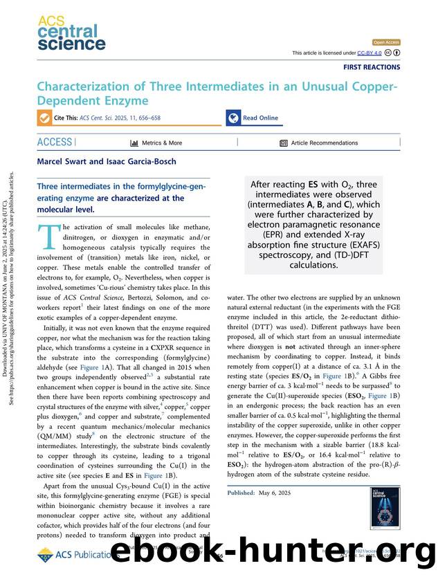Characterization of Three Intermediates in an Unusual Copper-Dependent Enzyme by Marcel Swart and Isaac Garcia-Bosch