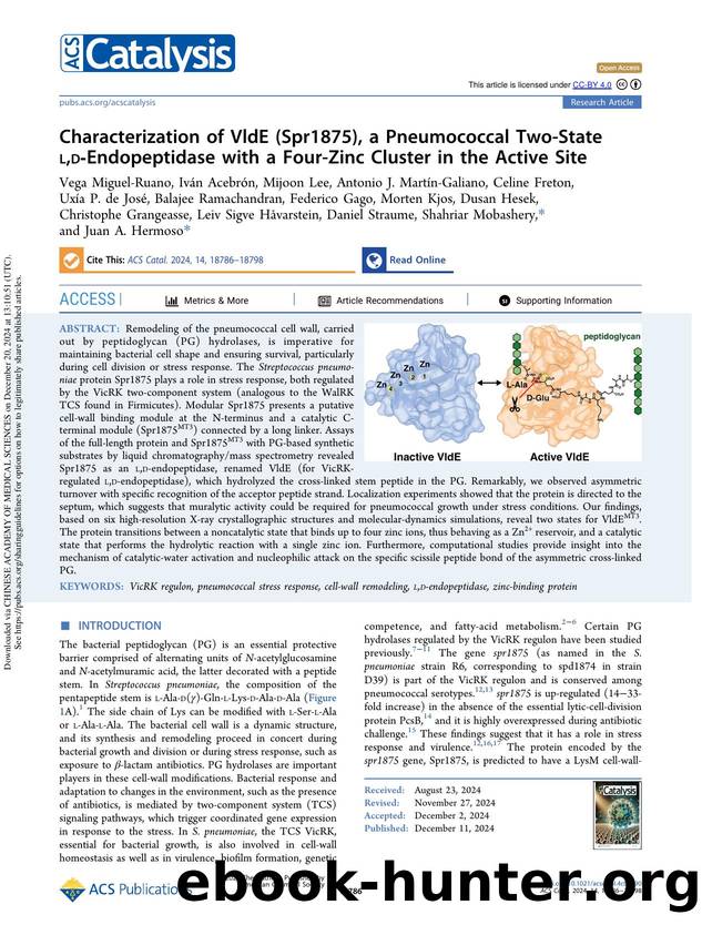 Characterization of VldE (Spr1875), a Pneumococcal Two-State l,d-Endopeptidase with a Four-Zinc Cluster in the Active Site by unknow