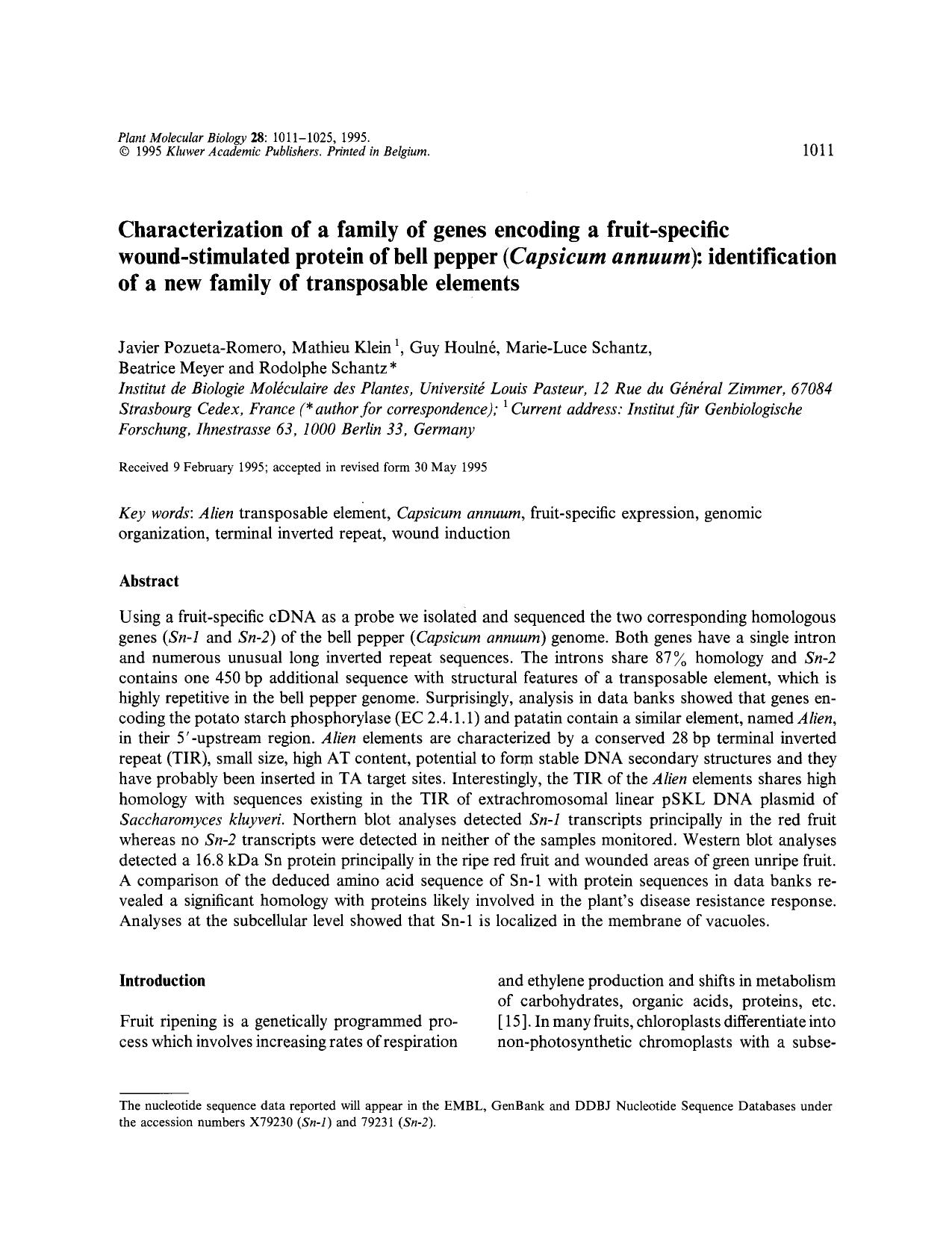 Characterization of a family of genes encoding a fruit-specific wound-stimulated protein of bell pepper ( <Emphasis Type="Italic">Capsicum annuum <Emphasis>): identification of a n by Unknown