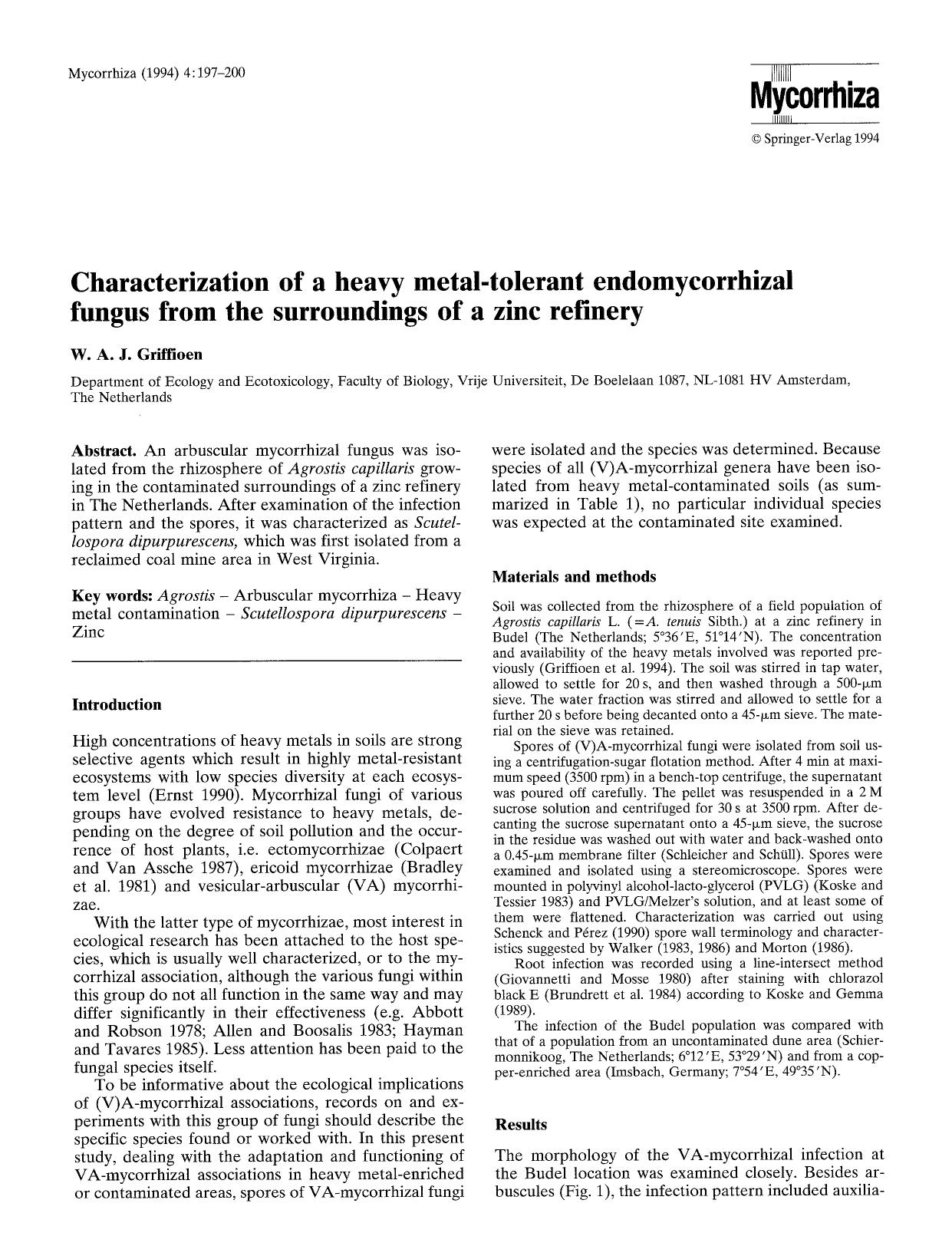 Characterization of a heavy metal-tolerant endomycorrhizal fungus from the surroundings of a zinc refinery by Unknown