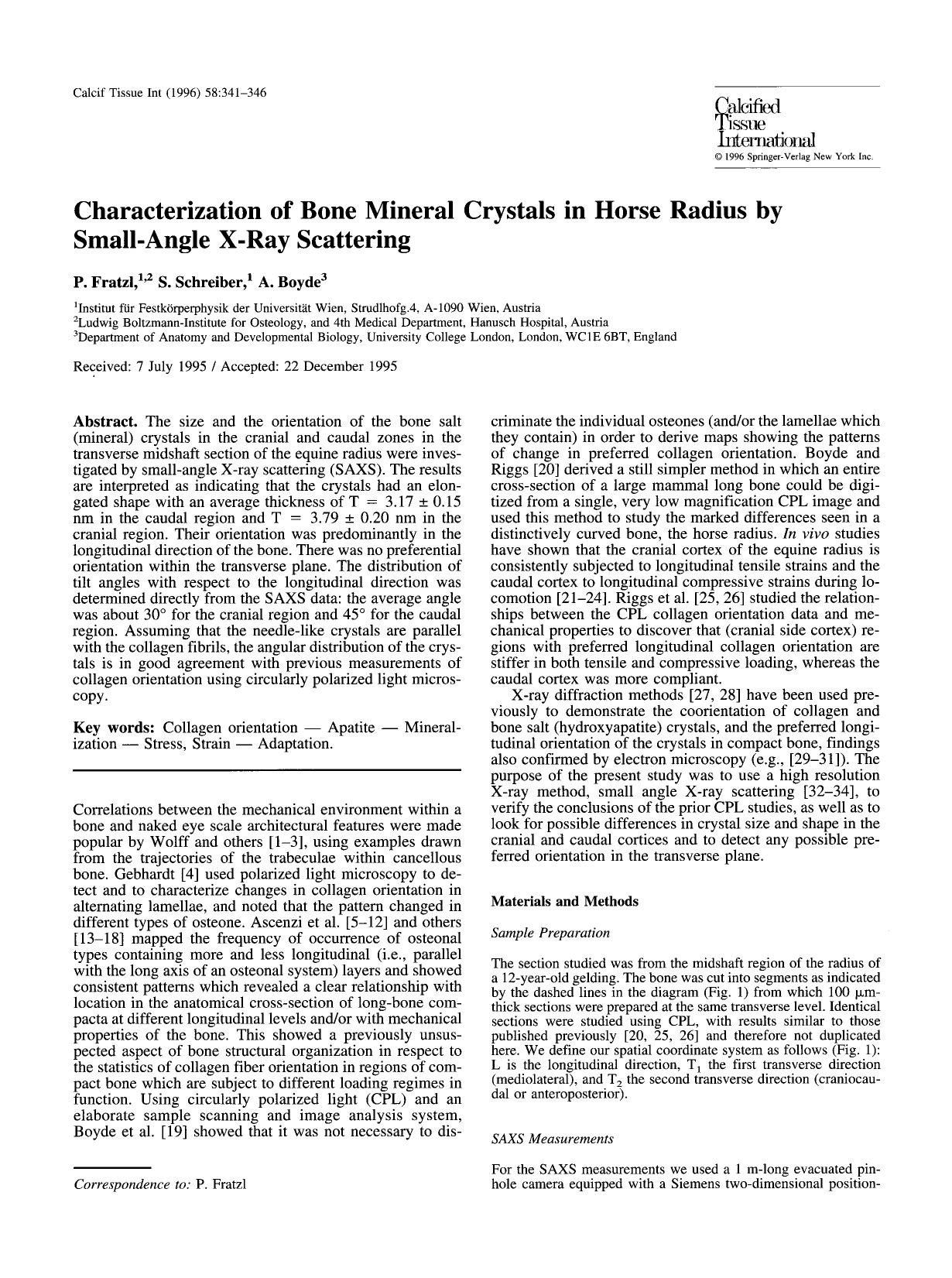 Characterization of bone mineral crystals in horse radius by small-angle X-ray scattering by Unknown
