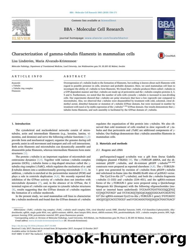 Characterization of gamma-tubulin filaments in mammalian cells by Lisa Lindström & Maria Alvarado-Kristensson