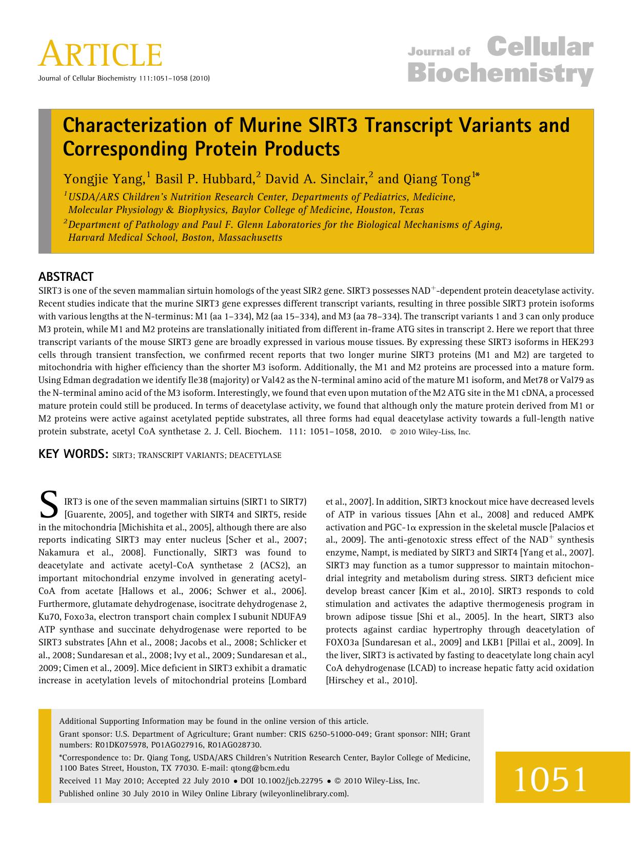 Characterization of murine SIRT3 transcript variants and corresponding protein products by Unknown