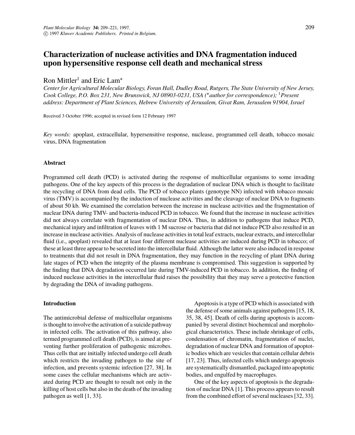 Characterization of nuclease activities and DNA fragmentation induced upon hypersensitive response cell death and mechanical stress by Unknown