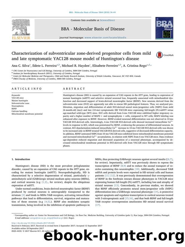 Characterization of subventricular zone-derived progenitor cells from mild and late symptomatic YAC128 mouse model of Huntington's disease by Ana C. Silva & Ildete L. Ferreira & Michael R. Hayden & Elisabete Ferreiro & A. Cristina Rego