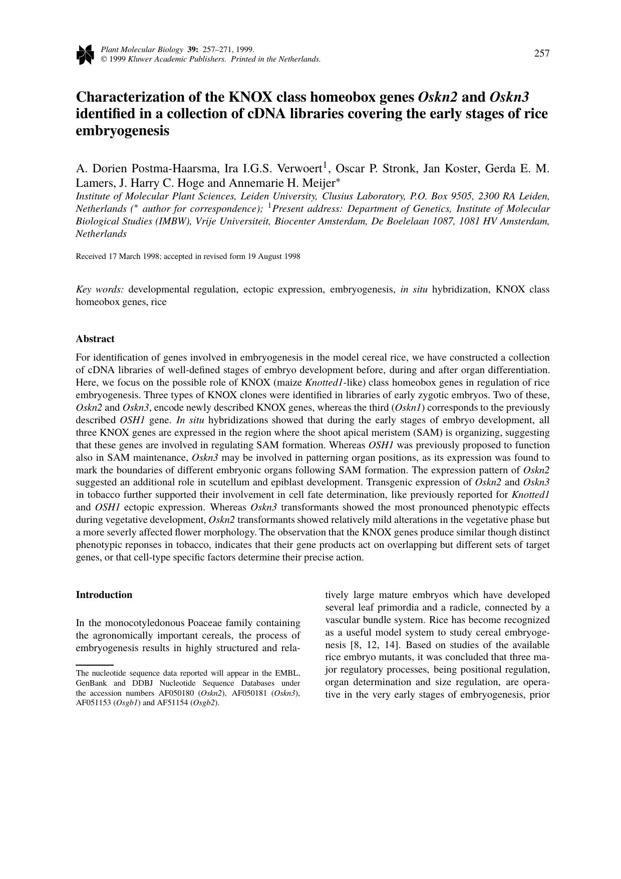 Characterization of the KNOX class homeobox genes Oskn2 and Oskn3 identified in a collection of cDNA libraries covering the early stages of rice embryogenesis by Unknown