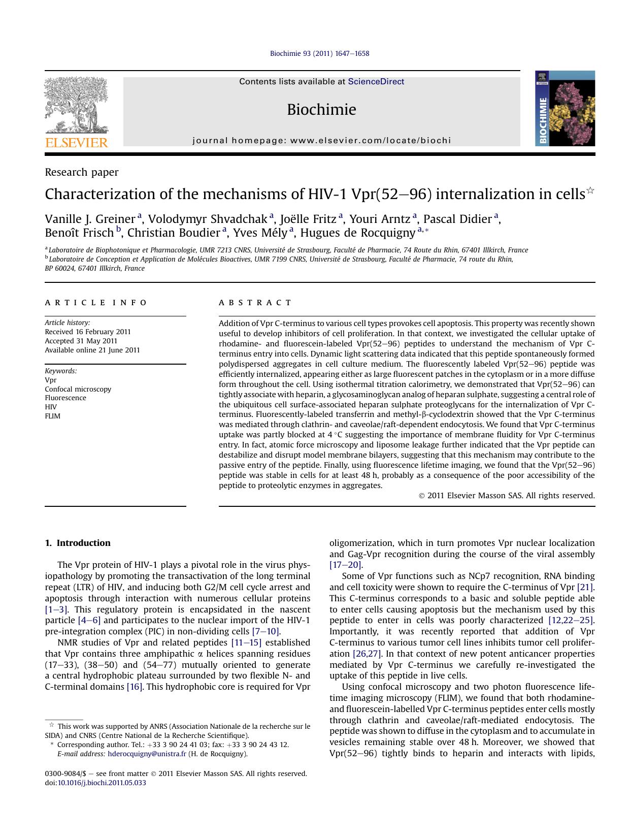 Characterization of the mechanisms of HIV-1 Vpr(52-96) internalization in cells by unknow