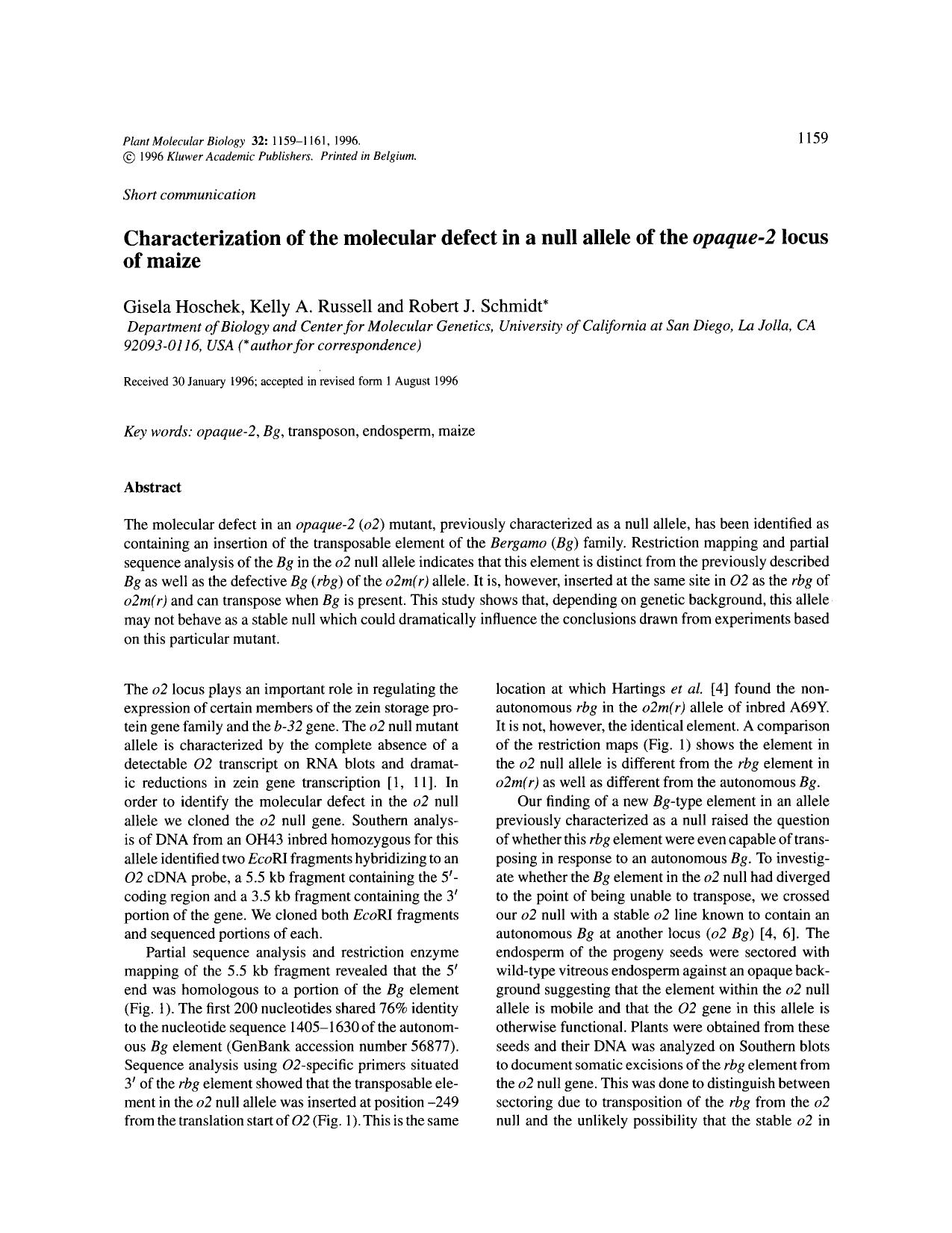 Characterization of the molecular defect in a null allele of the <Emphasis Type="Italic">opaque-2 <Emphasis> locus of maize by Unknown