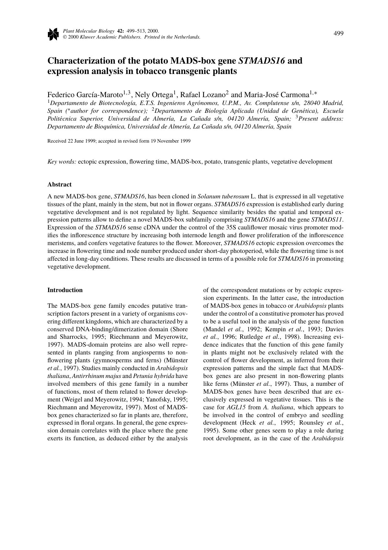 Characterization of the potato MADS-box gene STMADS16 and expression analysis in tobacco transgenic plants by Unknown