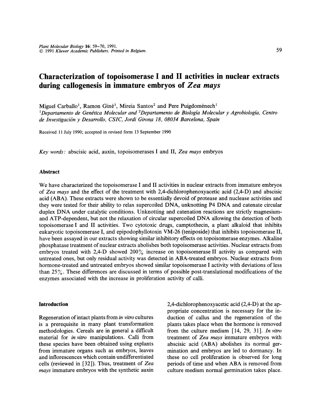 Characterization of topoisomerase I and II activities in nuclear extracts during callogenesis in immature embryos of <Emphasis Type="Italic">Zea mays<Emphasis> by Unknown