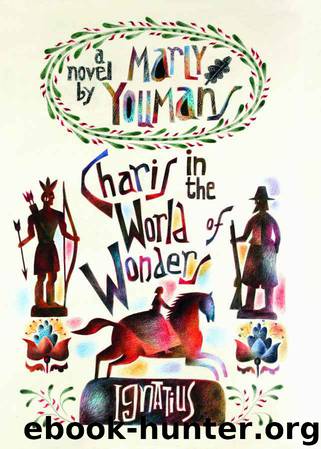 Charis in the World of Wonders by Marly Youmans
