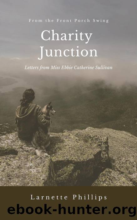 Charity Junction by Larnette Phillips