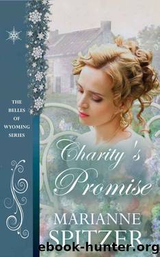 Charity's Promise by Marianne Spitzer