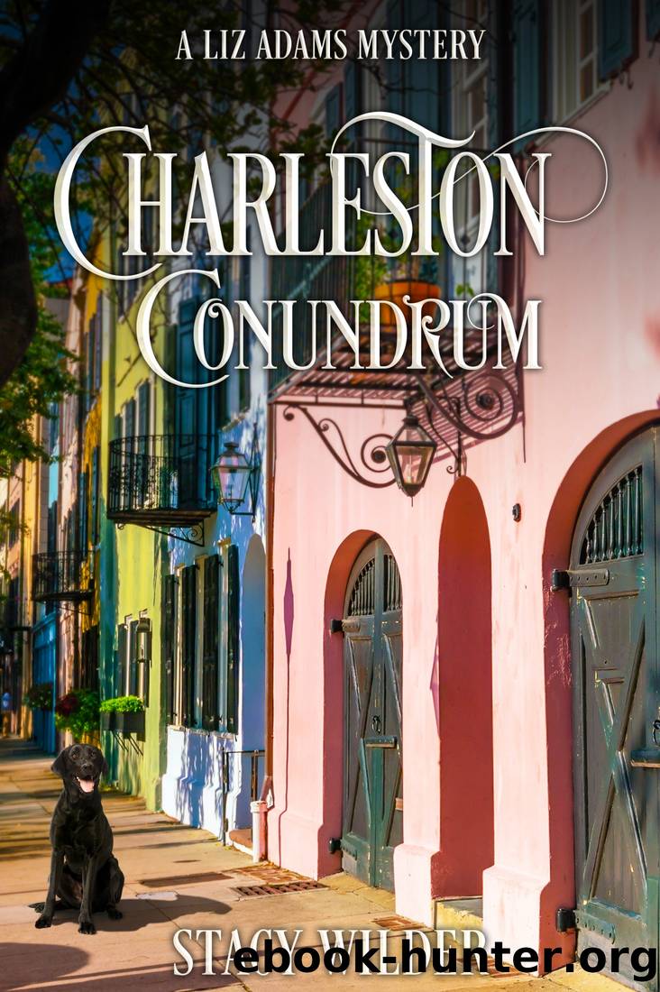 Charleston Conundrum by Stacy Wilder