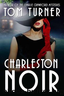 Charleston Noir (Nick Janzek Charleston Mysteries Book 3) by Tom Turner