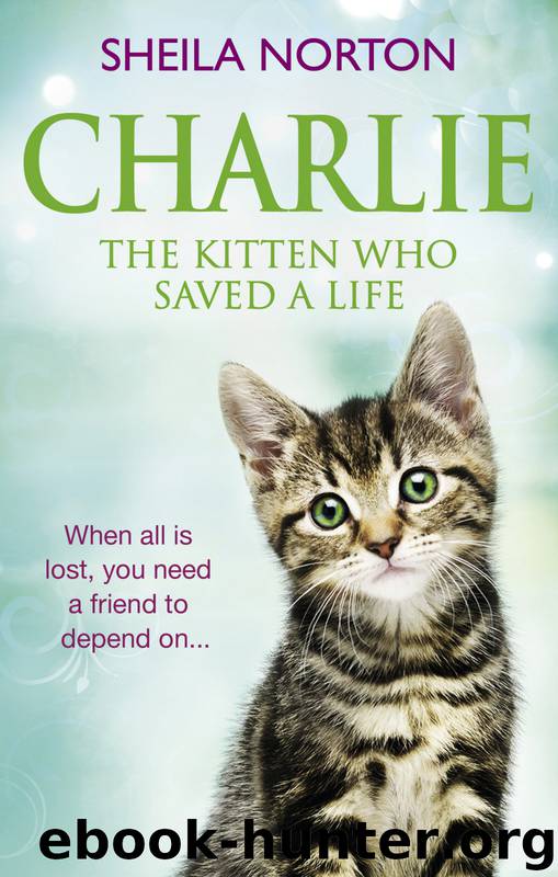 Charlie the Kitten Who Saved a Life by Sheila Norton