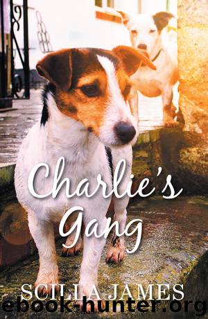 Charlie's Gang by Scilla James