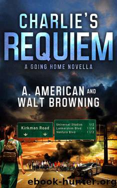 Charlie's Requiem Novella by A. American