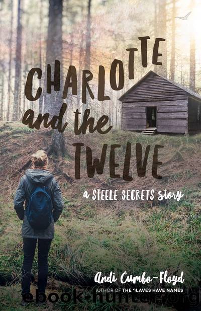 Charlotte and the Twelve by Andi Cumbo-Floyd