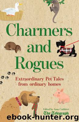 Charmers and Rogues by Ann Cuthbertson
