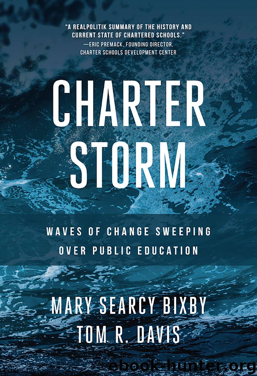 Charter Storm by Mary Searcy Bixby