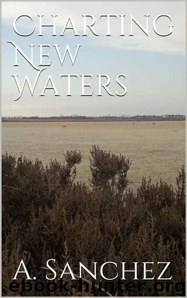 Charting New Waters by A. Sanchez