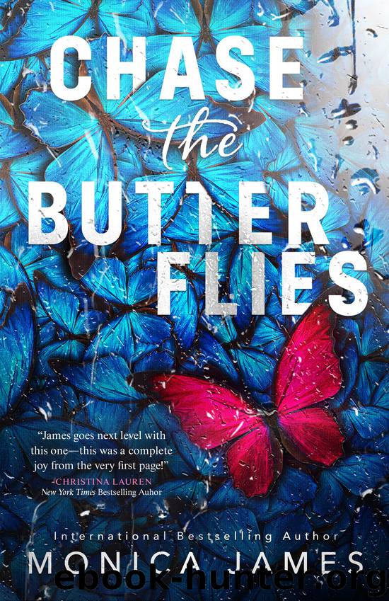 Chase The Butterflies by Monica James