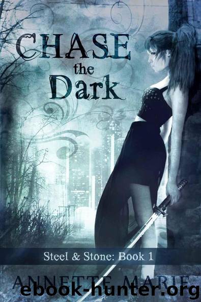Chase the Dark (Steel & Stone Book 1) by Annette Marie